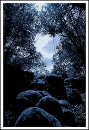 La_nuit_o_nous_sommes_1