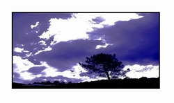Laisse_faire_les_nuages
