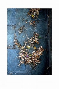 Larmes_et_rires_de_la_terrasse_au_tilleu