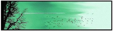 Le_vert_se_rveilleles_oiseaux_en_creusen