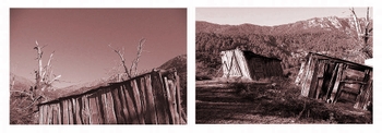 Les_planches_courbes_de_pastricciola_cor