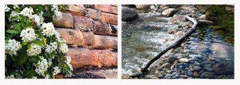 Les tuiles chaudes, le bruit d'eau sur les pierres Les_tuiles_chaudes_le_bruit_deau_sur_les