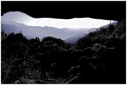 Ne_brode_pas_dans_le_brouillard