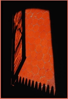 Ouvrir_tout_grand_pour_accueillir_la_lum