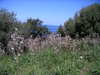 Pict0019