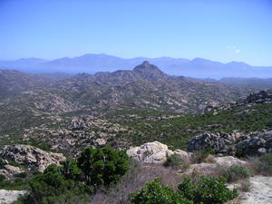 Pict0039