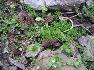 Pict0061