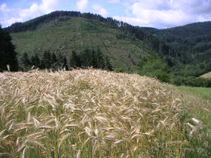 Pict0190