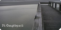 Ponton Ponton_3_bis