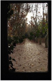 Regardezvous_tomber_la_pluie_derrire_vot