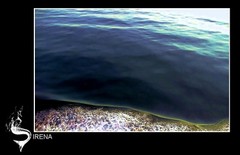 Sirena
