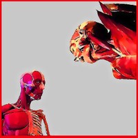 Tte_membre_tronc
