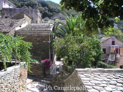 A stalla di Pinella