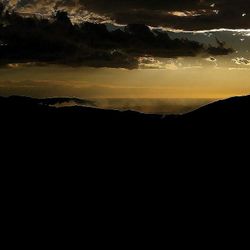 Antonella Anedda | novembre, notte
