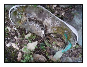 Angèle Paoli | Houle verte et carcasses vagabondes