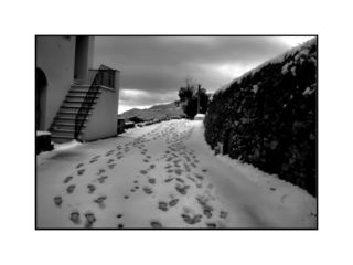 Fabienne Courtade | [sans titre]