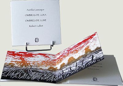 Ombres de lune 2