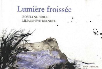 Roselyne Sibille | Lumière froissée | Liliane-Ève Brendel | Lecture d&rsquo;Angèle Paoli