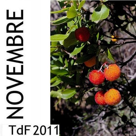 Terres de femmes n° 84 ― novembre 2011