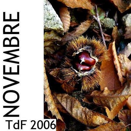 CLIQUER SUR LA PHOTO pour accéder au SOMMAIRE du numéro de novembre 2006 asset asset-image at-xid-6a00d8345167db69e201630142d0e5970d