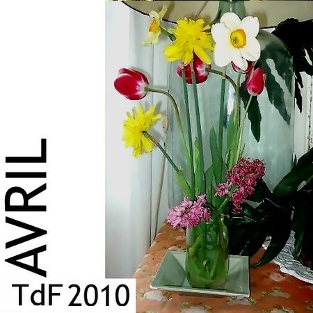 CLIQUER SUR LA PHOTO pour accéder au SOMMAIRE du numéro d'avril 2010 TdF - avril 2010