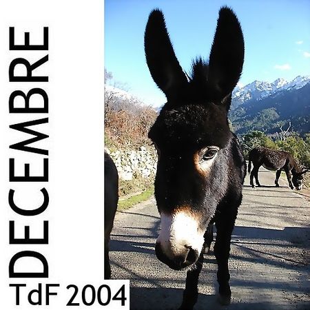 Terres de femmes n° 1 ― décembre 2004