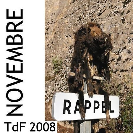 CLIQUER SUR LA PHOTO pour accéder au SOMMAIRE du numéro de novembre 2008 TdF - novembre 2008