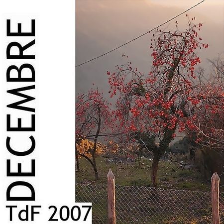 Terres de femmes n° 37 ― décembre 2007