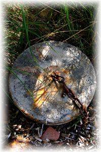 Marie-Claire Bancquart | [Toi, l&rsquo;herbe]