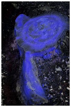 Dominique Sampiero | [Certains livres se souviennent]
