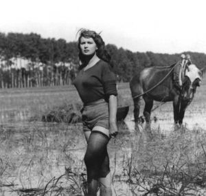 Silvana Mangano dans les rizières Silvana Mangano