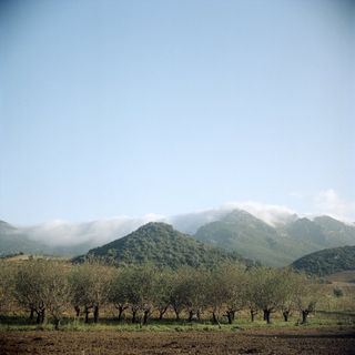 Maddalena Rodriguez-Antoniotti | Corse, Éloge de la ruralité | Lecture d&rsquo;Angèle Paoli