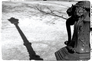 Albertine Benedetto | [Ordinaire]