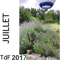 TdF n° 152 ― juillet 2017