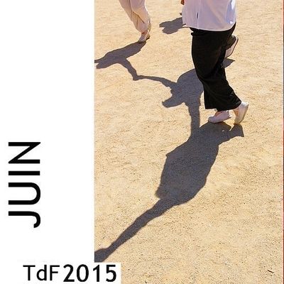 CLIQUER SUR LA PHOTO pour accéder au SOMMAIRE du numéro du mois de juin 2015 TDF JUIN 2015