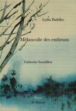 Lydia Padellec | « Île muette », II