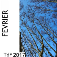 TdF n° 147 ― février 2017