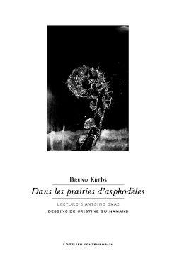Bruno Krebs, Dans les prairies d'asphodèles, L'Atelier Contemporain, François-Marie Deyrolle éditeur, Strasbourg, 2017. Bruno Krebs Dans les prairies d'asphodèles 2