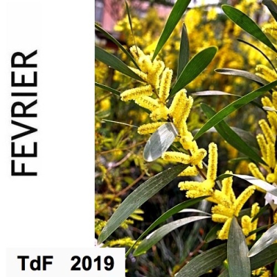 Terres de femmes n° 171 ― février 2019