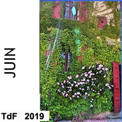 Terres de femmes n° 175 ― juin 2019