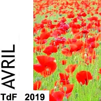 TdF n° 173 ― avril 2019