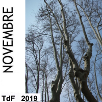 TdF n° 180 ― novembre 2019