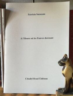 Patricia Suescum | [Viennent ces matins]