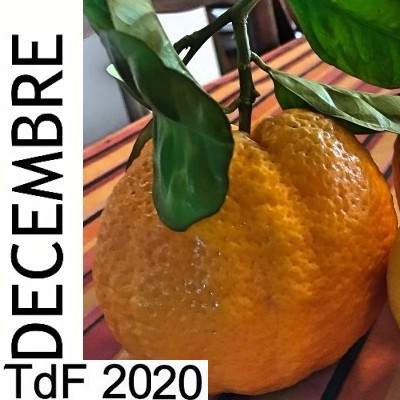Terres de femmes n° 193 ― décembre 2020