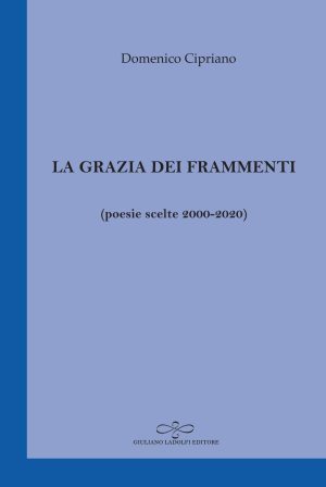 Domenico Cipriano | La grazia dei frammenti