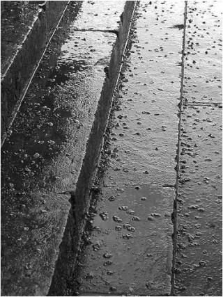 Jacques Ancet | Perdre les traces
