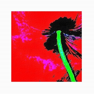 Christian Bobin | Le Christ aux coquelicots