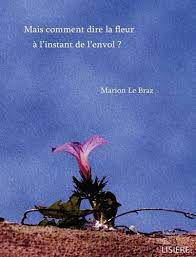 Le Braz Le Braz