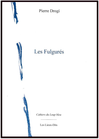 Pierre-Drogi_-les-Fulgures-ombre-731x1024 Pierre-Drogi_-les-Fulgures-ombre-731x1024