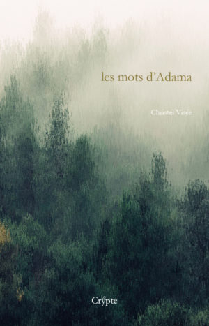 Mots_adama_VOUC_JPEG-300x467 Mots_adama_VOUC_JPEG-300x467